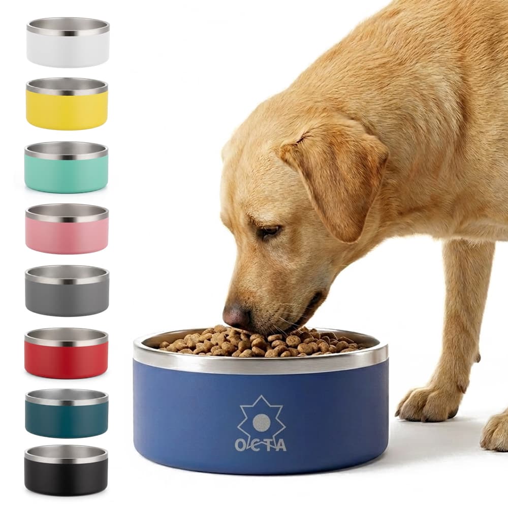 Stainless Steel Canine Feeding Bowl